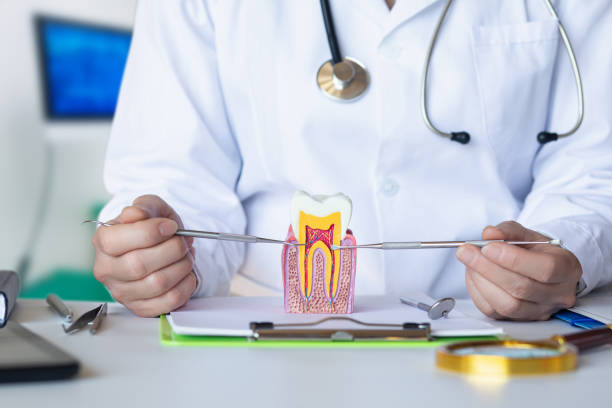 Best Emergency Dentist for Knocked-Out Tooth in Marissa, IL